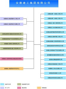 安徽都有哪些公司 集團